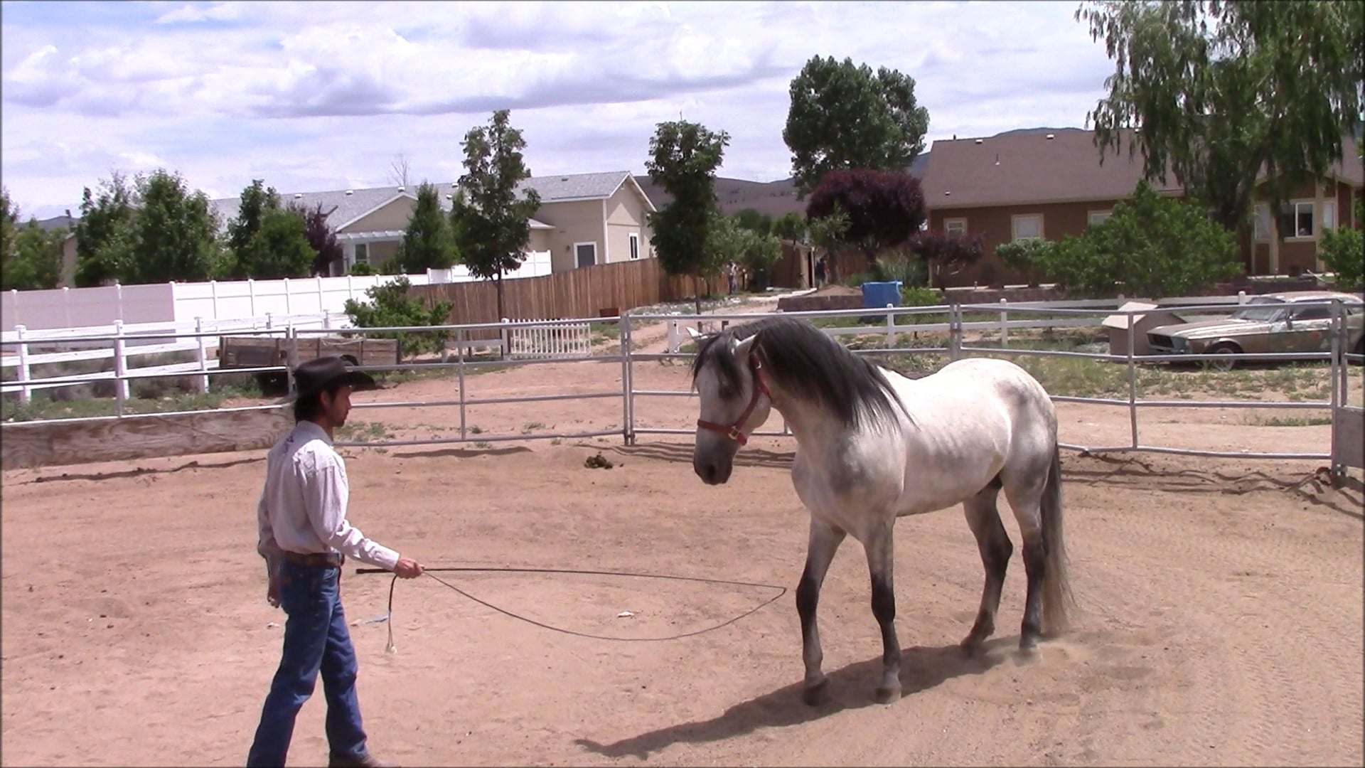 Defensive Aggression Behavior (Ground Exercises Part 2)*