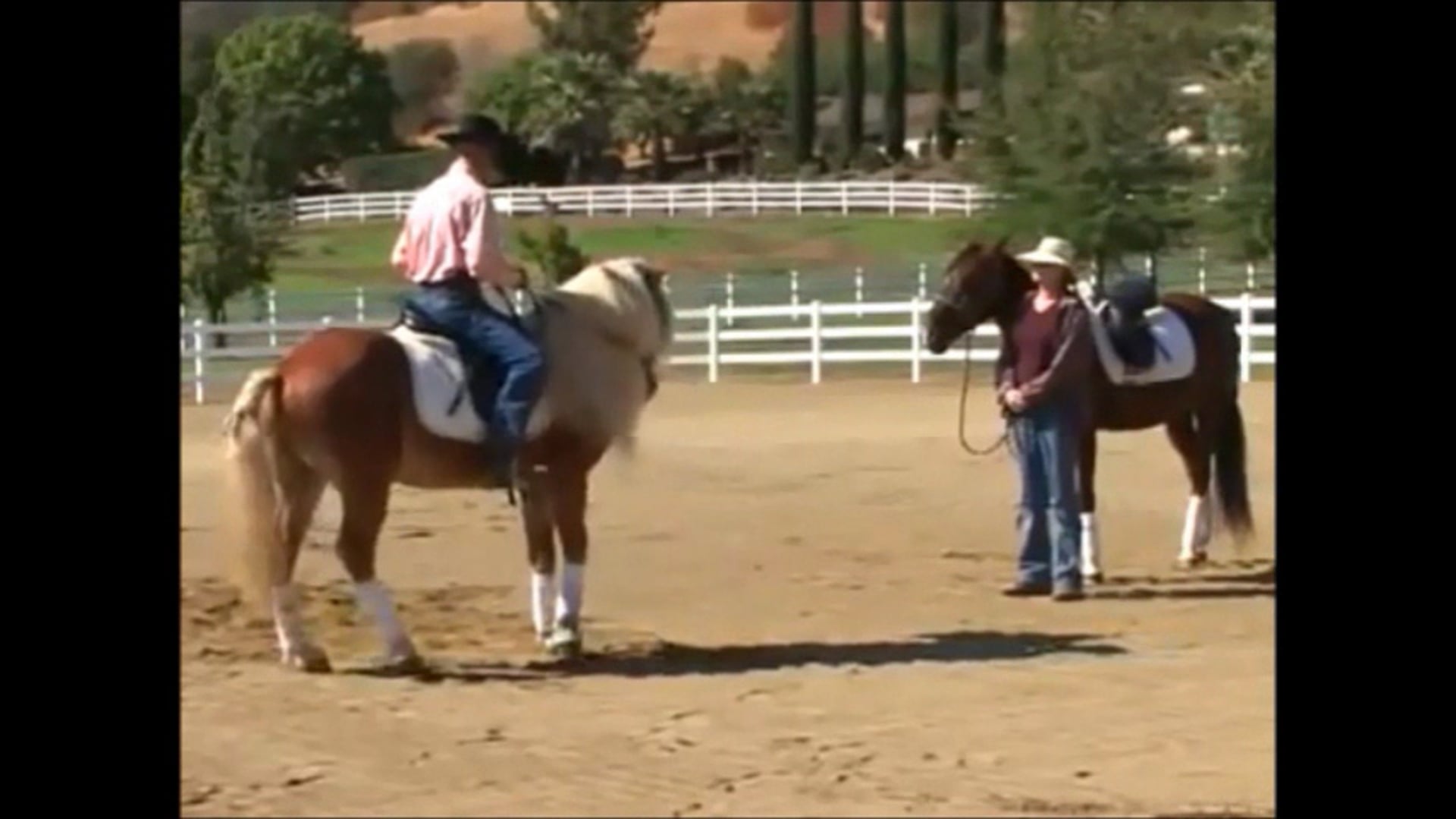 Breast Cancer Awareness (Demo)*