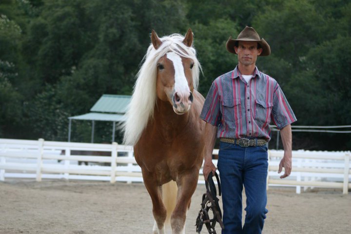 Multi-talented Marcoe in Equestrian Connection Part 1.pdf