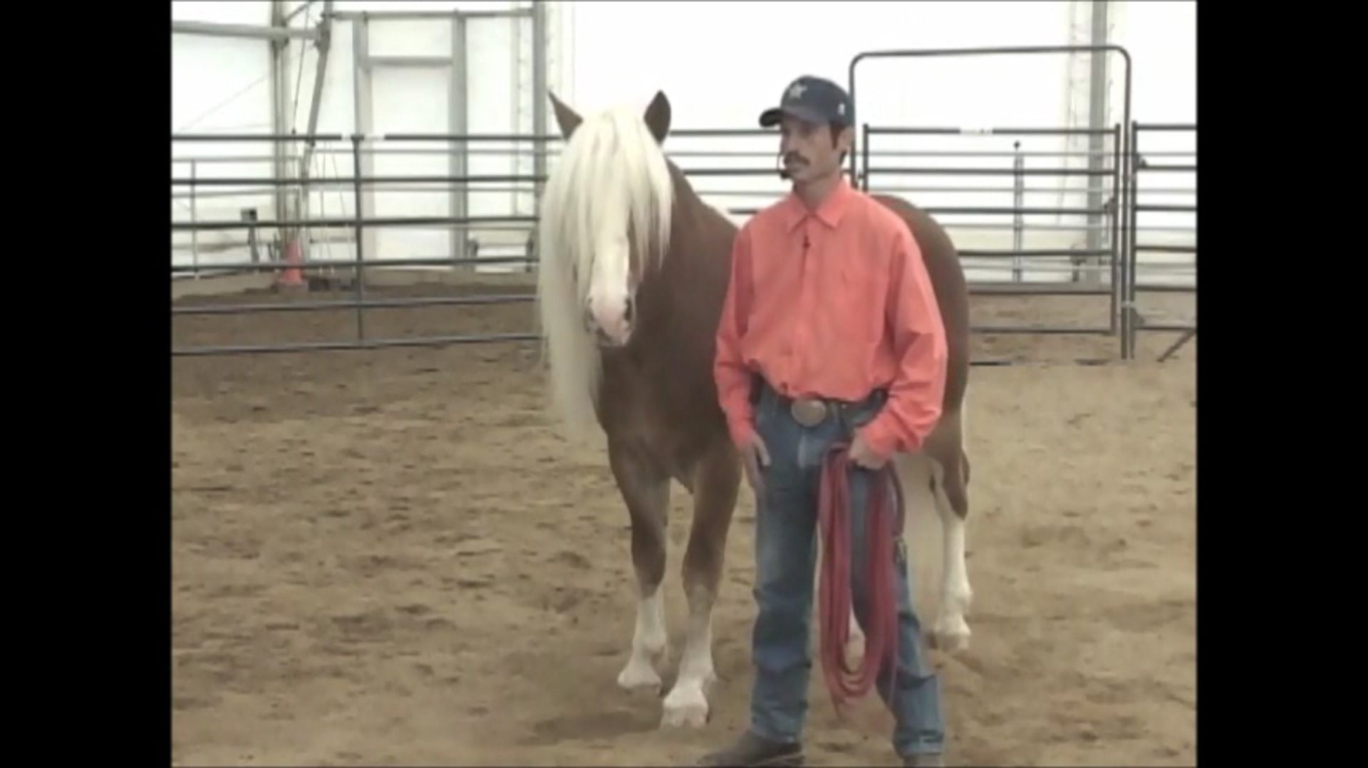 Back to the Basics Part 1, (Ground and Saddle Exercises)*