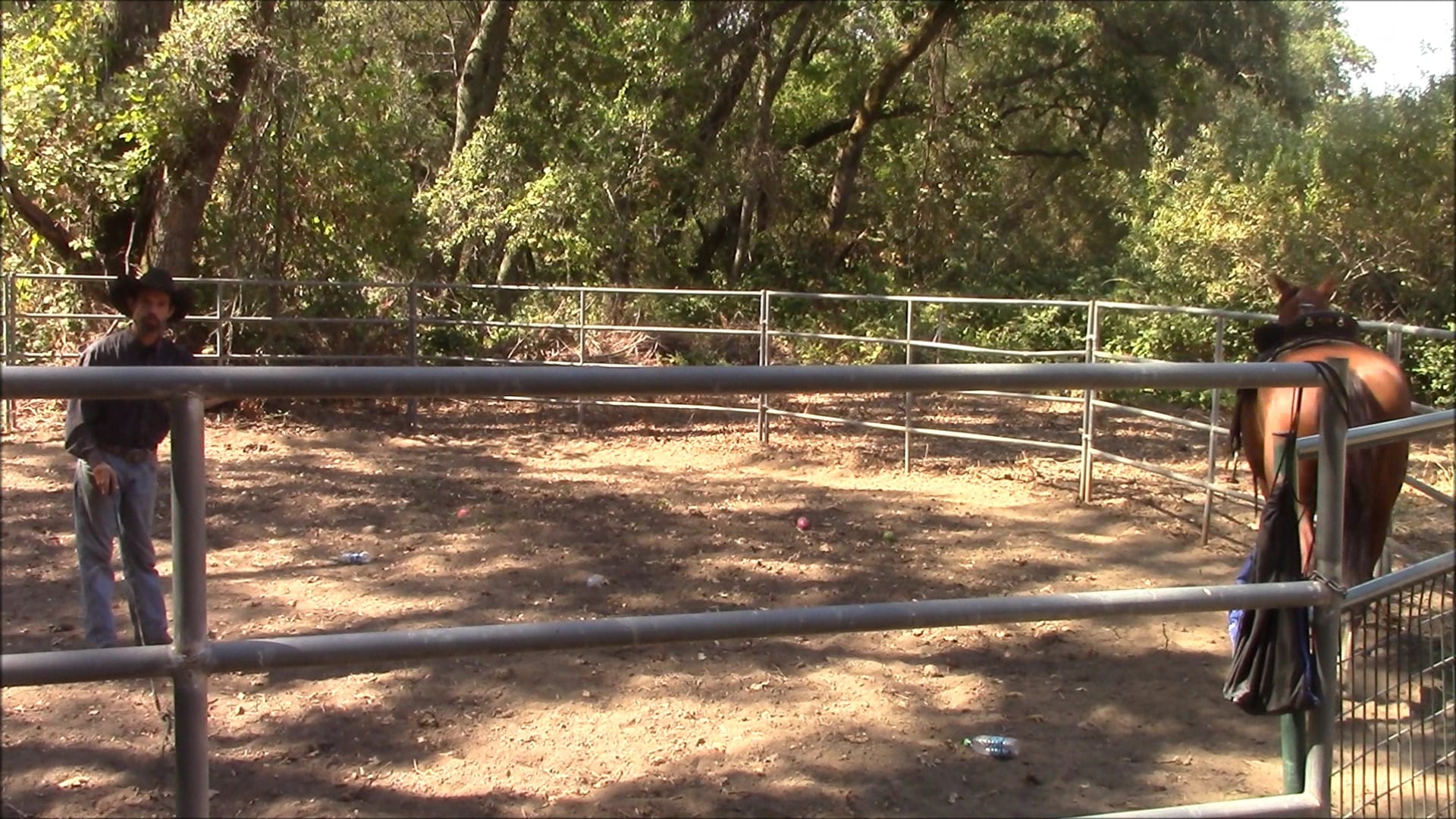 Building Riders Confidence (Part 1, Ground Exercise)*