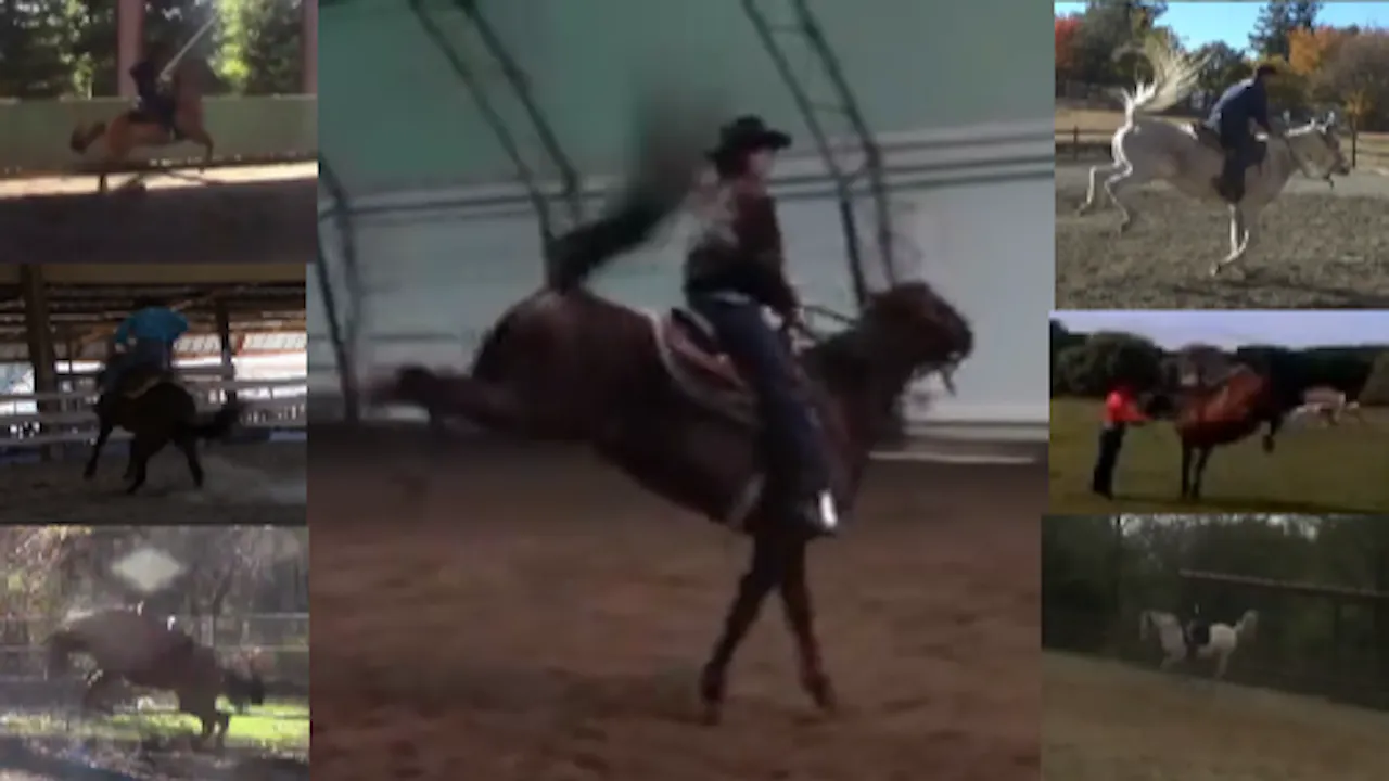 Solve Your Horses Bucking Issue Preview Previews Mike Hughes