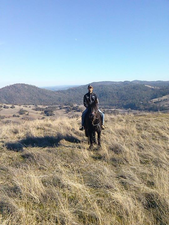 How Much Weight Can My Horse Carry (Video Tip)*