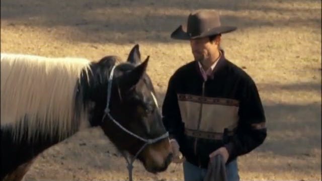 Back To The Basics, Live Video on Facebook (Ground Exercises)