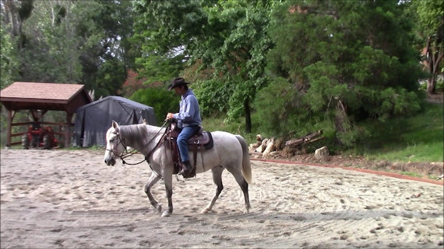 Teach your horse how to side pass under saddle (Part 2 Saddle exercise)*