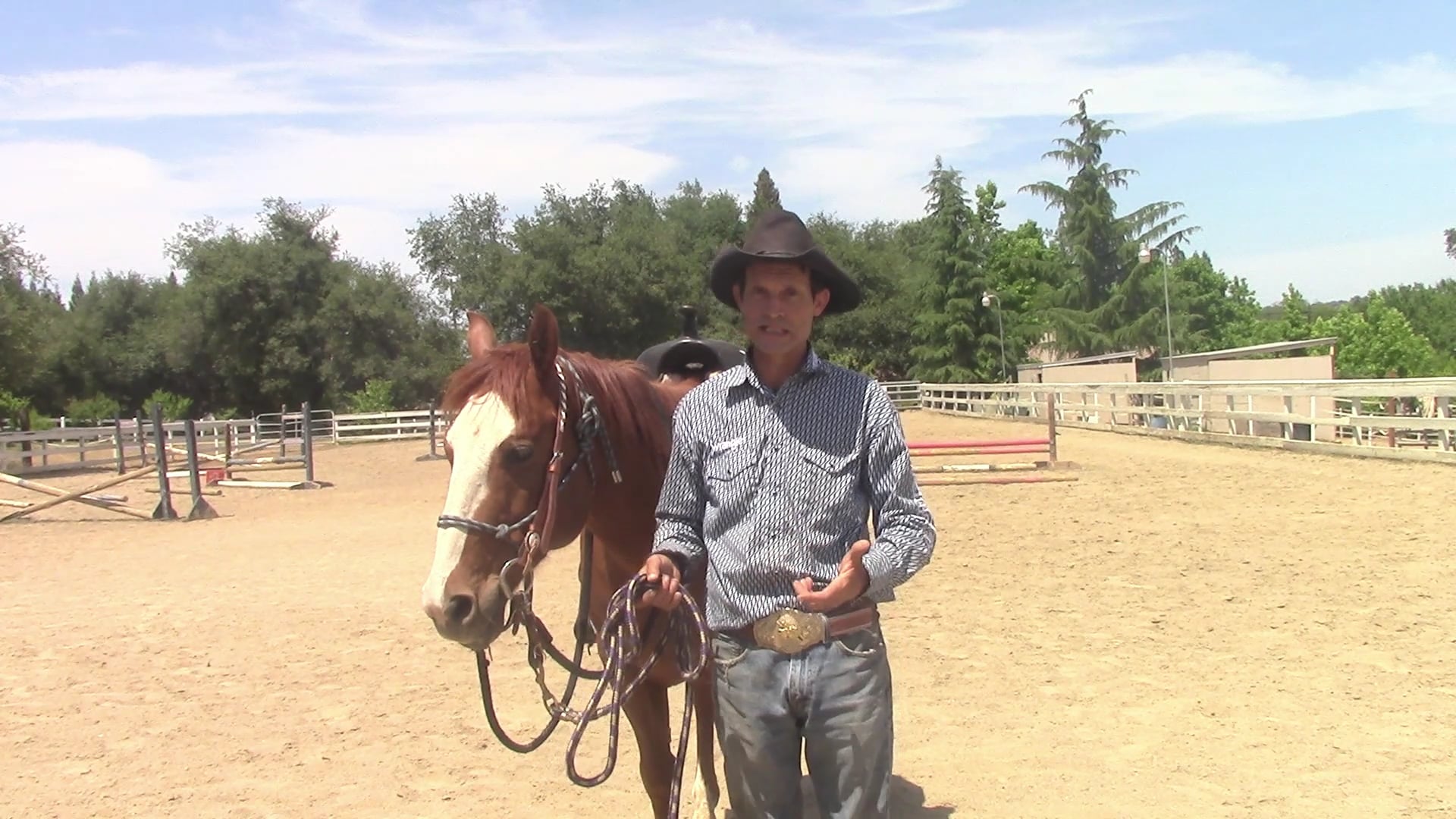 Muscle Memory, Finding the root cause to behavior issues (Ground Exercise)*