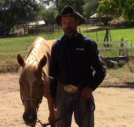 Teaching The Scared/Nervous Horse How To Relax Using My Method Part 1*