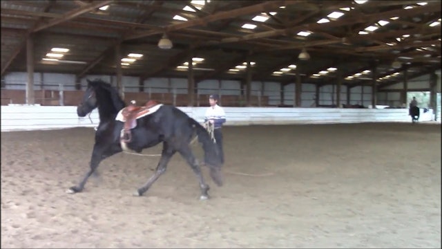The Buck Stops Here (Part 2, Ground and Saddle Exercises)*