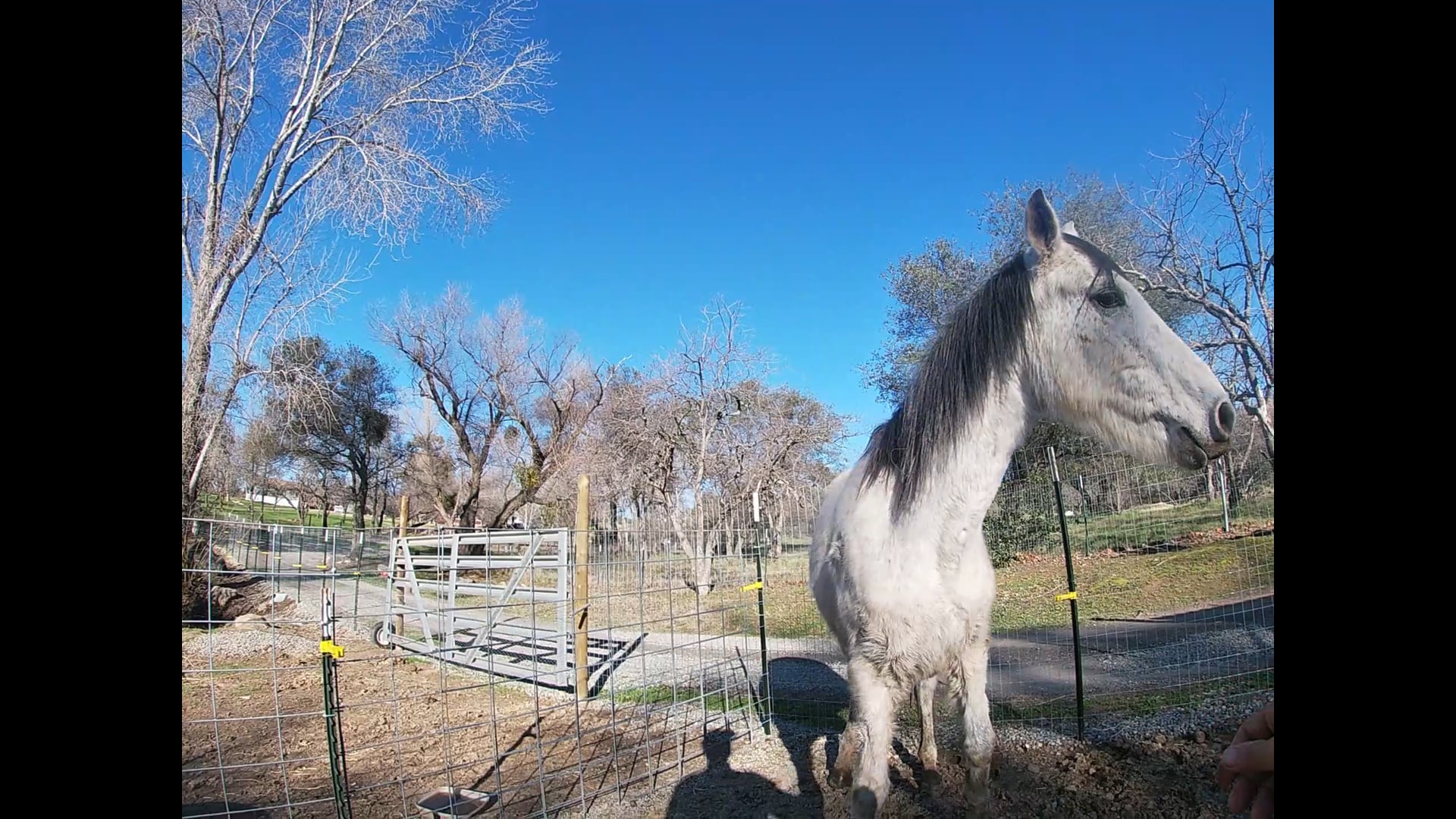 Beat and Abused, Recovering With Confidence (Ground Exercises)*