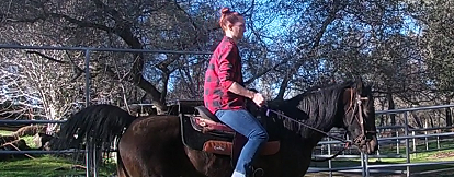 Riding Lesson In Horsemanship (Ground And Saddle Exercises ...