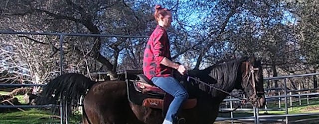 Riding Lesson In Horsemanship (Ground...