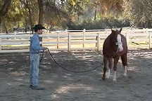 Big Screen Desensitizing, Episode 1, (Pre-Exercises for Big Screen)