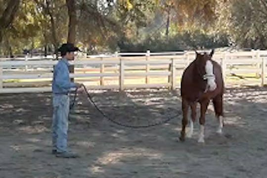 Big Screen Desensitizing, Episode 1, ...