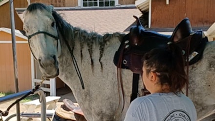 Mike Hughes Horsemanship Members Page Video