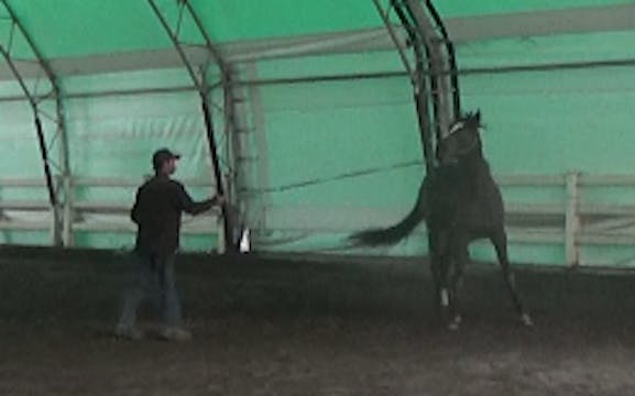 My Horse is Afraid of Whips, Simple S...