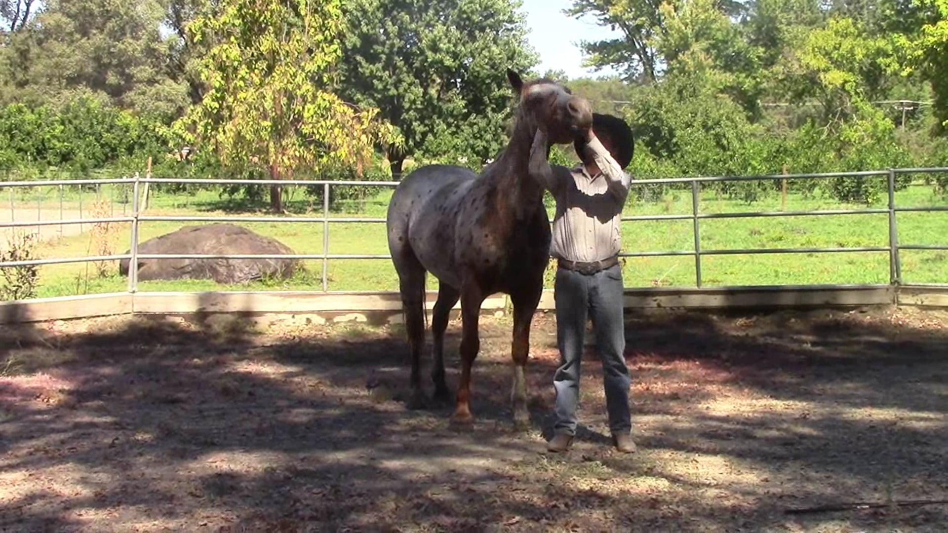 How to solve mouth shyness and much more (Ground Exercise)*