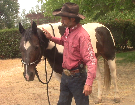 Back to the Basics Part 2, Live on Youtube Earlier Today