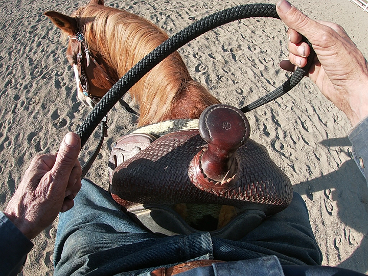 Your Hands On The Reins, Introduction*