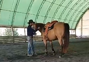 Finding The Root Cause to Stiffness 6/13/20, Santa Rosa, (Ground and Saddle)*