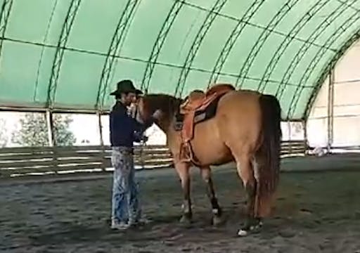 Finding The Root Cause to Stiffness 6...