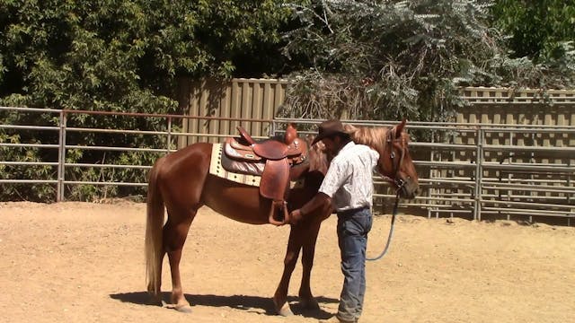 First Ride On The Unbroke Horse (Grou...