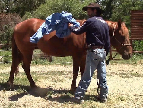 Teaching the Scared/Nervous Horse To Relax Using My Method Part 3*