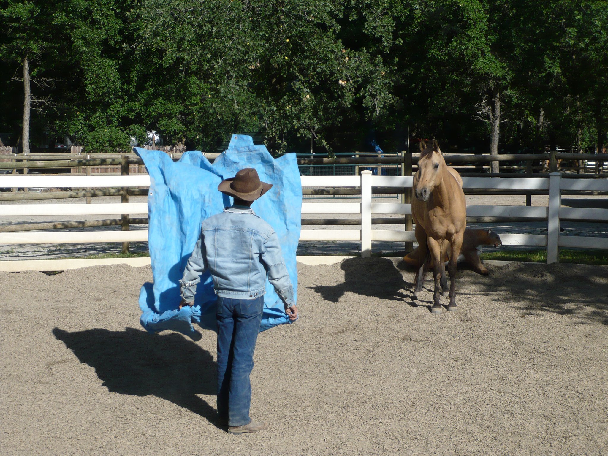 sound effects Nature ( desensitization to sounds)