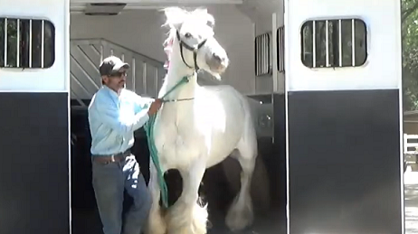 Solve Trailer Loading Issues