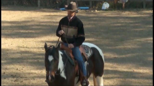 Desensitizing Your Horse Part 4 (Sadd...
