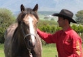 Mike Hughes Horsemanship Members Page