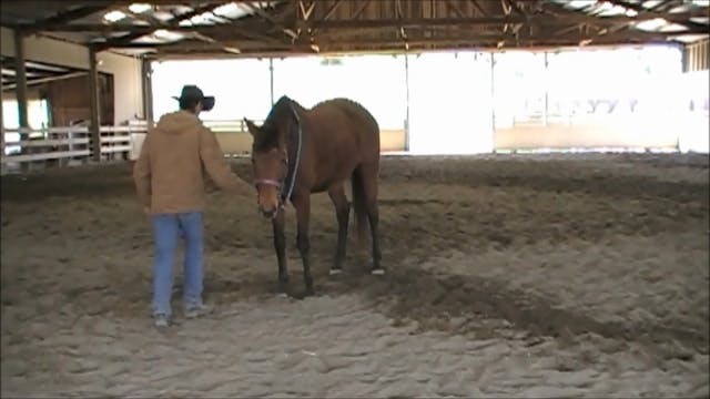 Flexing and Disengaging The Horses Hi...