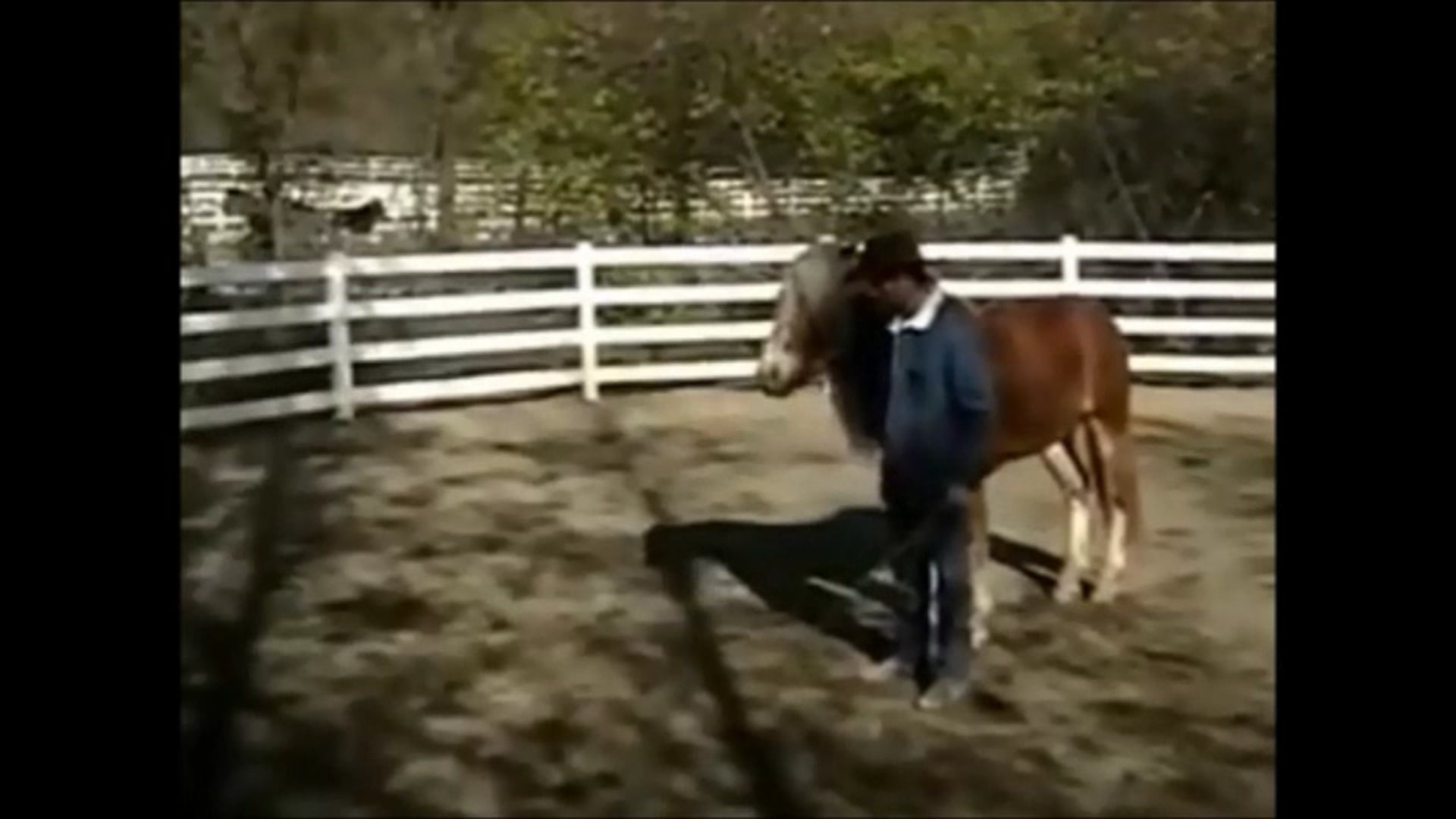 Boys and Girls Club of America (Demo)*