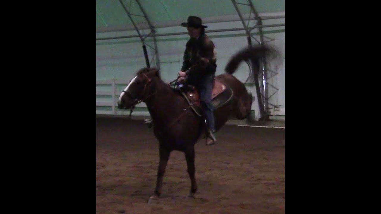 My Horse Bucked Me Off, Now What? (Part 1, Saddle Exercise)*