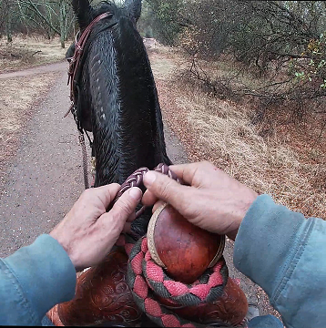 Your Hands on the Reins - Part 1 - Barn Sour, Jigging, Charging Through the Bit