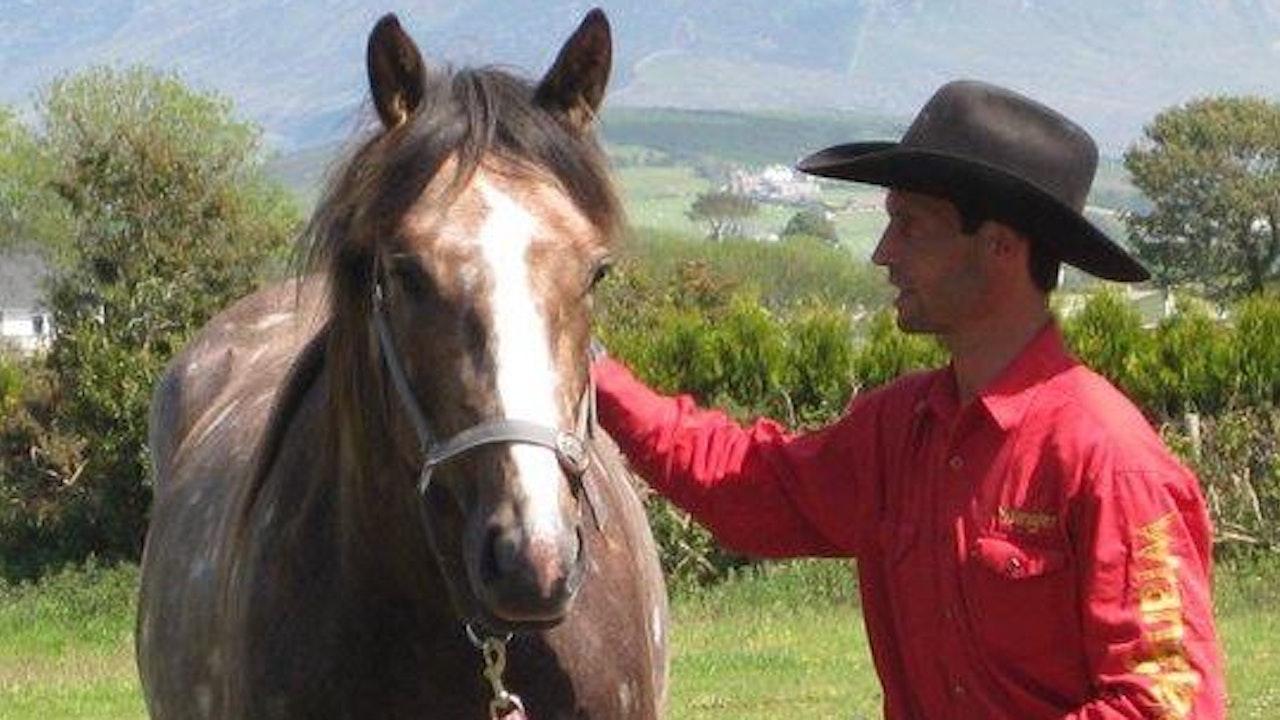 Horsemanship - Learn How To Connect and Bond With Your Horse -