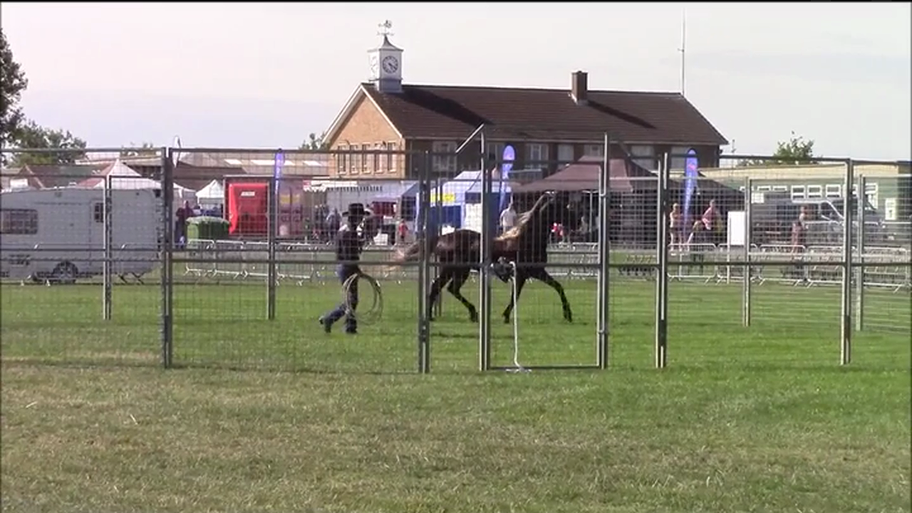 Basic Round Penning With Mike Hughes, Essex England (Special Event)*