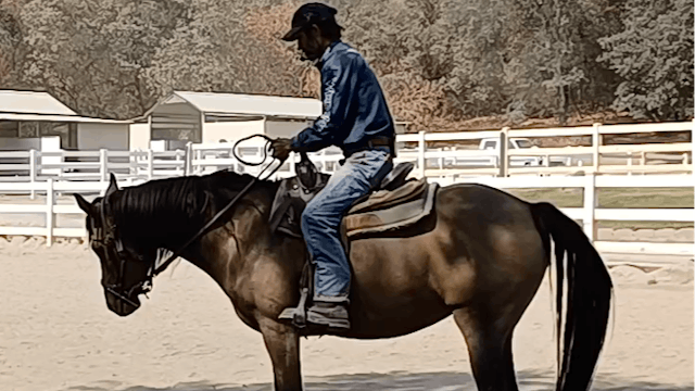 How To Start Your Unbroke Horse Under Saddle (Preview)