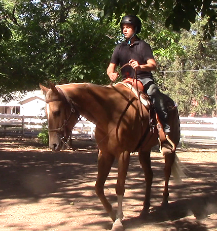 Teaching The Unbroke Horse To Walk Forward (Saddle Exercise)*