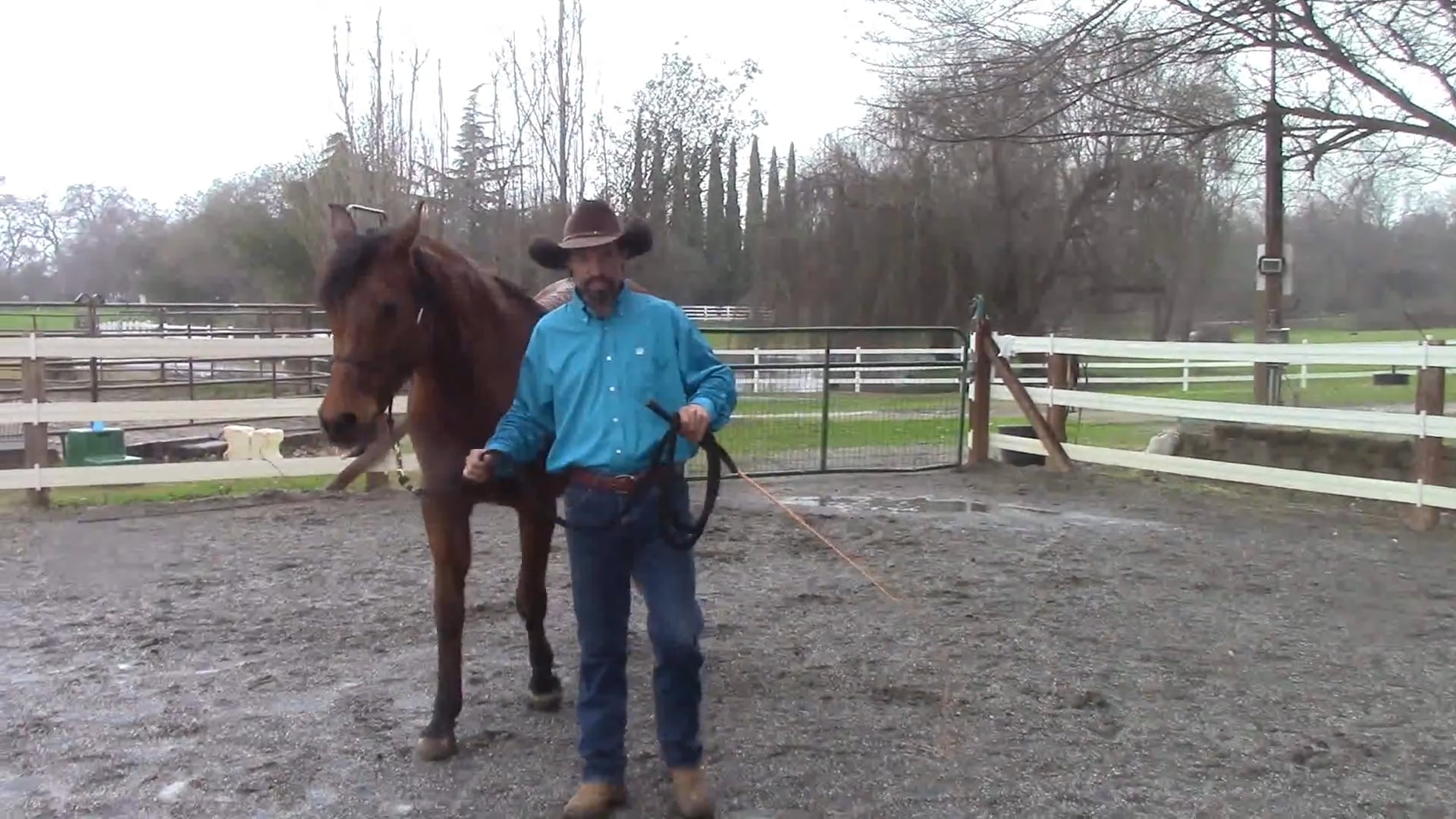 Teach Your Horse Respect for Your Personal Space (Ground Exerices)*