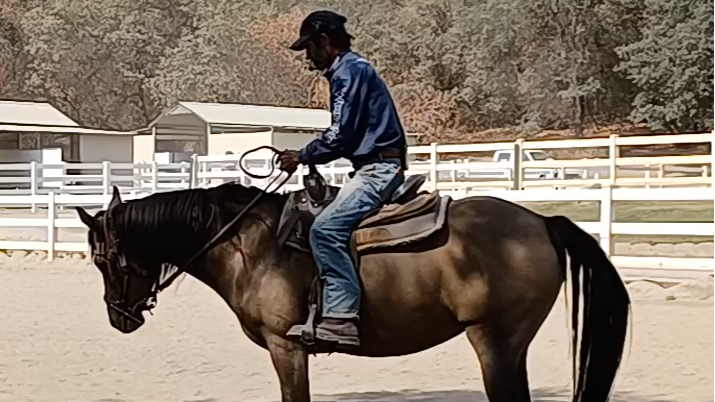 How to Start Your Unbroke Horse Under Saddle