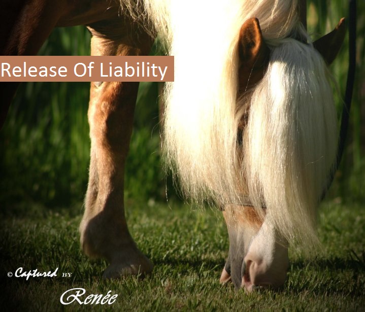 1 Release of Liability, Click to view, Please Read