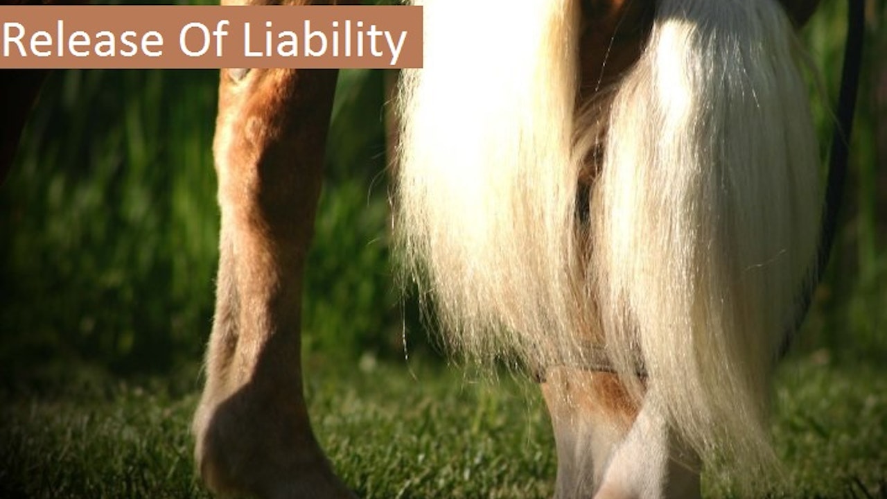 1 Release of Liability, Click to view, Please Read