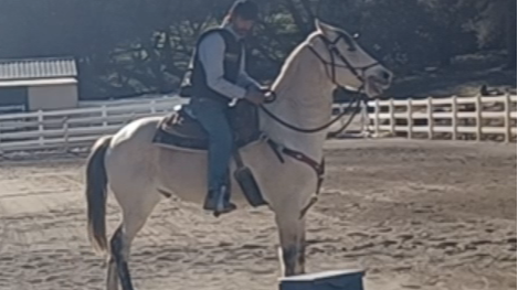 Freezing Up and Flipping Over Backwards