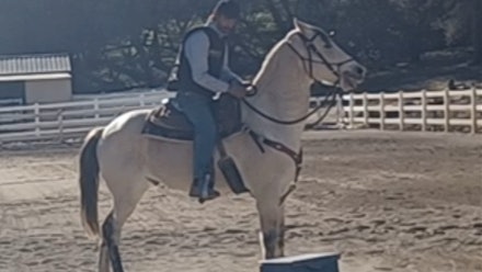 Mike Hughes Horsemanship Members Page Video