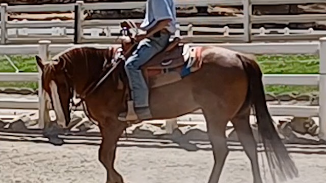 Horse & Rider Confidence - Episode 4 - Preview