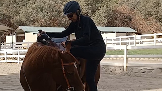 Patience on The Ground = Patience Under Saddle (Preview)
