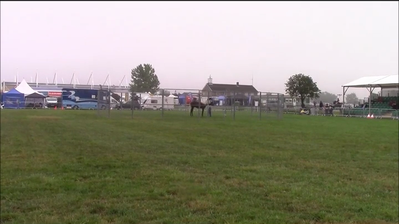 Teaching the lay down and bow, Demo at Equifest, Essex England (Special Event)*