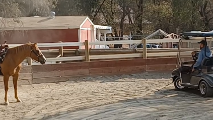 Where There is a Will There is Always a Way