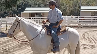 Building Rider and Horse Confidence (Preview) 