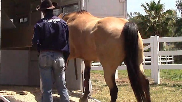 Teaching Your Horse How To Self Load Into The Horse Trailer (Ground Exercise)*